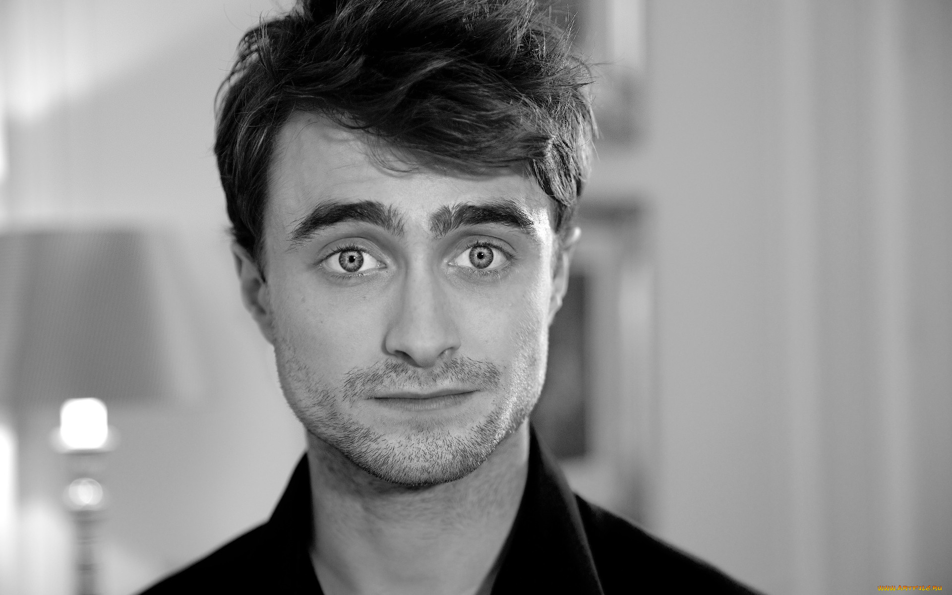 , daniel radcliffe, , 